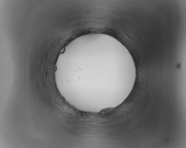 X0000113131057200909251234