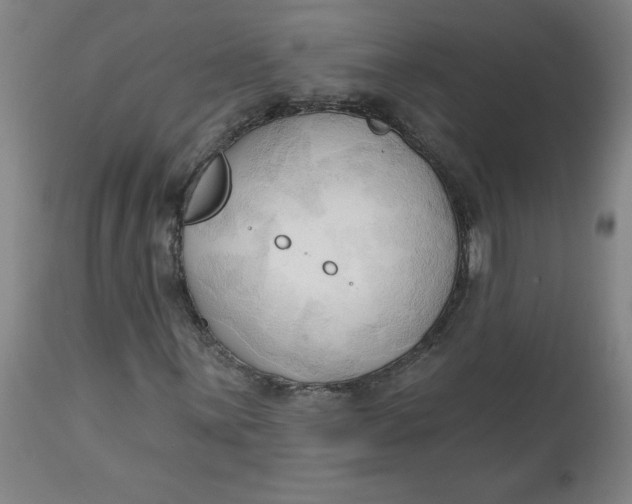 X0000113131059200909251234