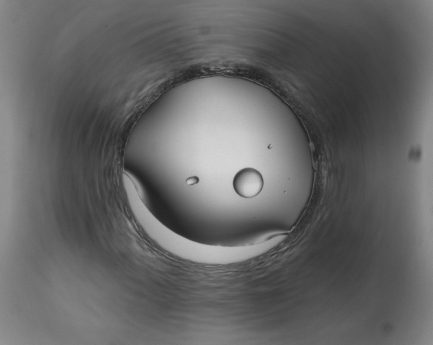 X0000113131060200909251234