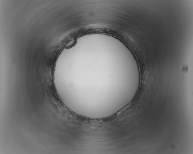 X0000113131062200909251234