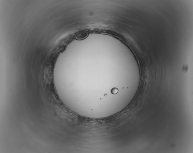 X0000113131063200909251234