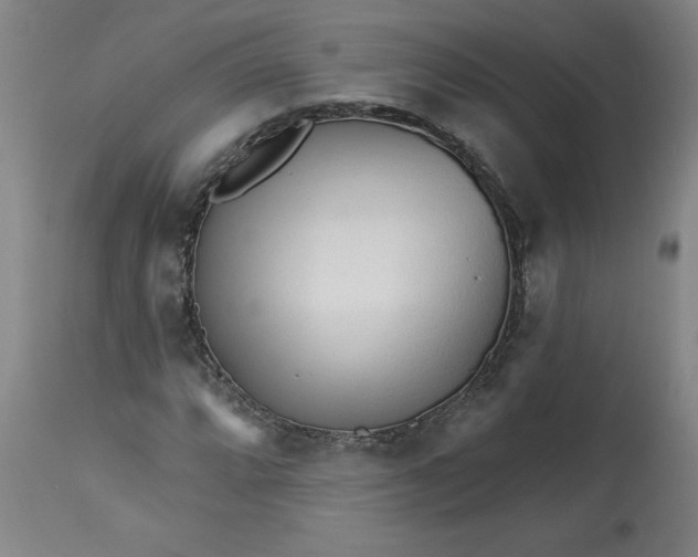 X0000113131064200909251234