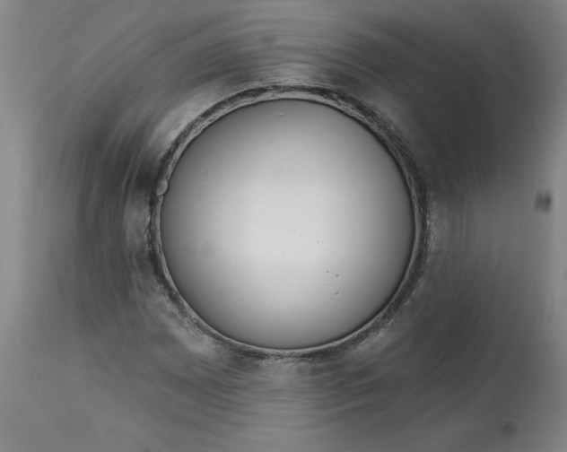 X0000113131065200909251234