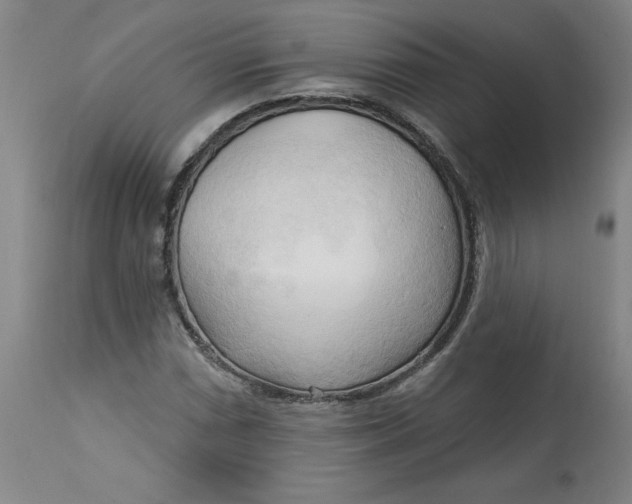 X0000113131066200909251234