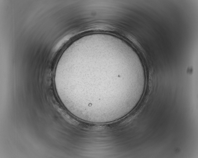 X0000113131067200909251234