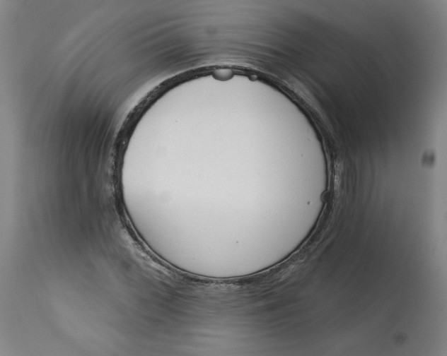 X0000113131068200909251234