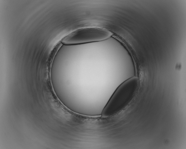 X0000113131069200909251234