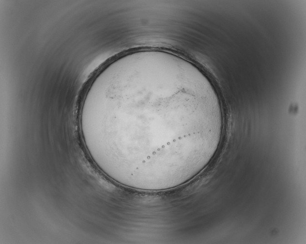 X0000113131071200909251234