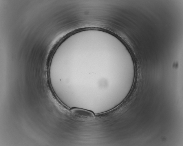 X0000113131072200909251234