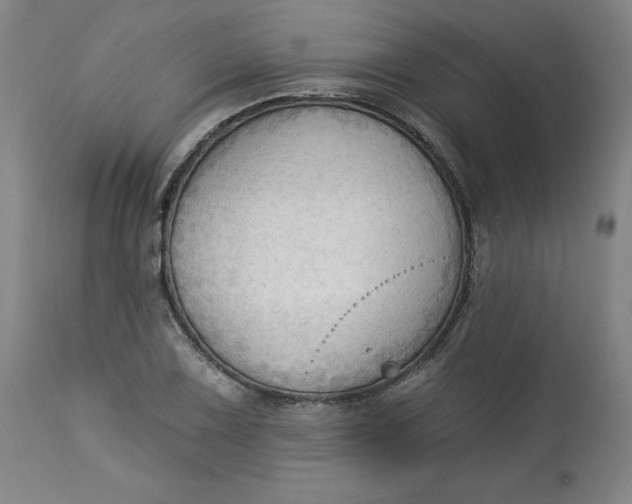 X0000113131075200909251234