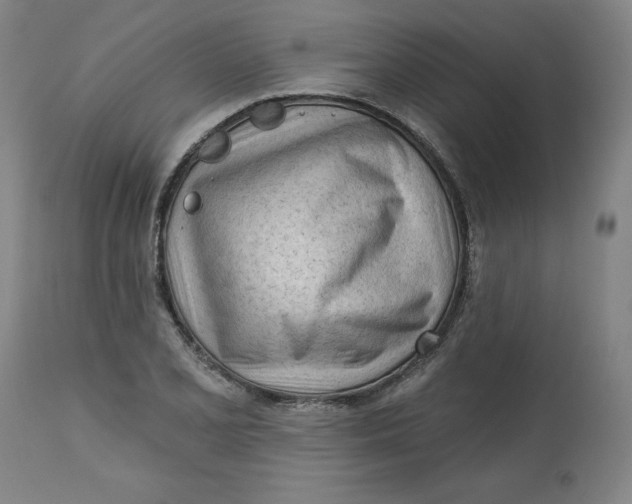 X0000113131077200909251234