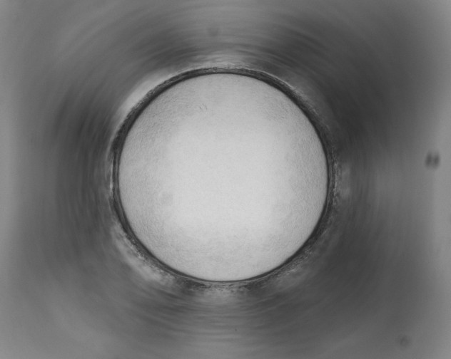 X0000113131078200909251234