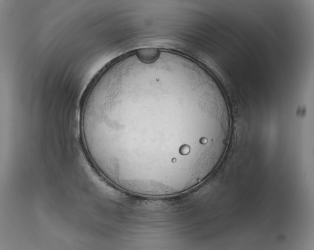 X0000113131079200909251234