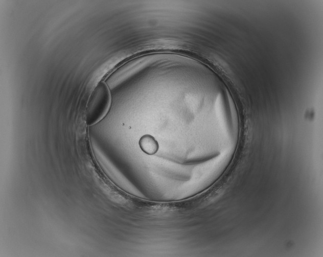 X0000113131081200909251234