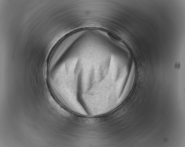 X0000113131084200909251233