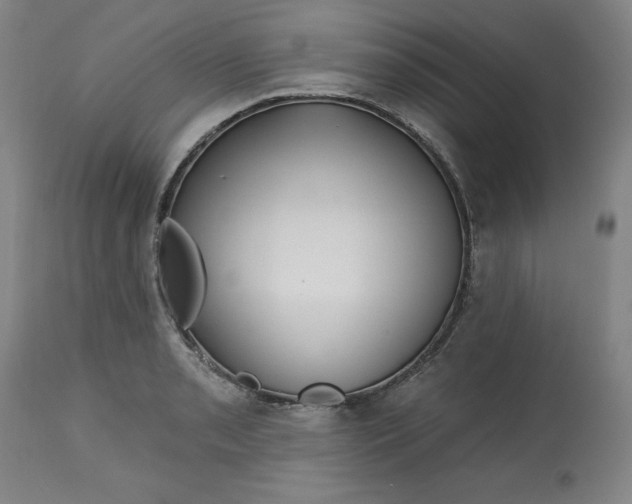 X0000113131085200909251233