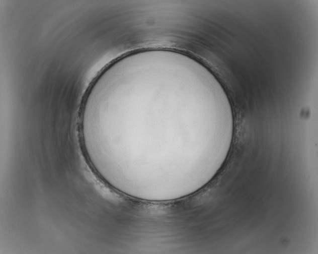 X0000113131086200909251233