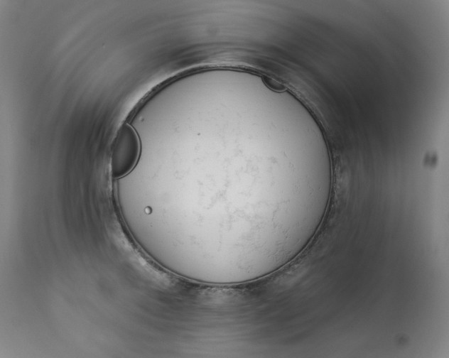 X0000113131092200909251233