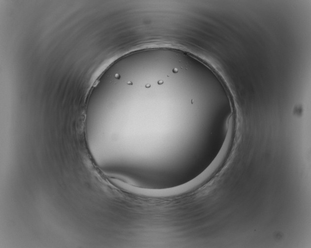 X0000113131097200909251233