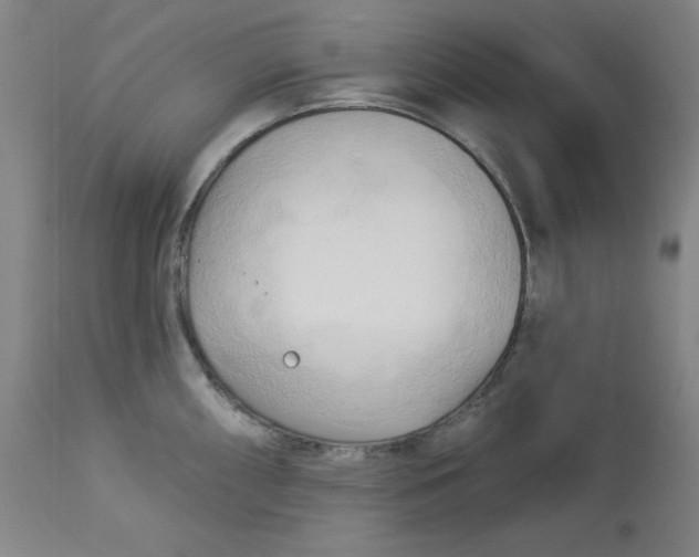 X0000113131098200909251233