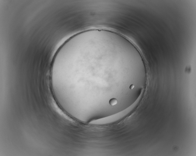 X0000113131100200909251233