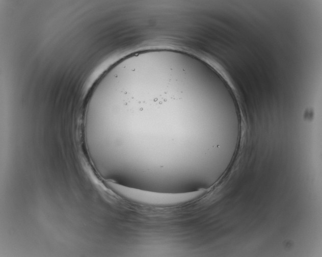 X0000113131101200909251233