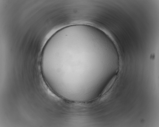 X0000113131102200909251233