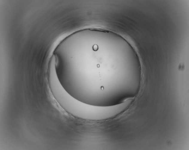 X0000113131104200909251233