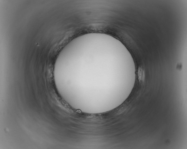 X0000113131107200909251232