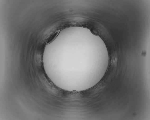 X0000113131108200909251232