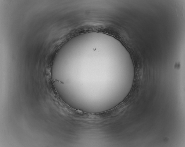 X0000113131109200909251232