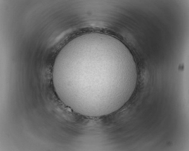 X0000113131110200909251232