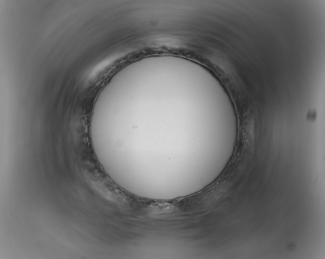 X0000113131112200909251232