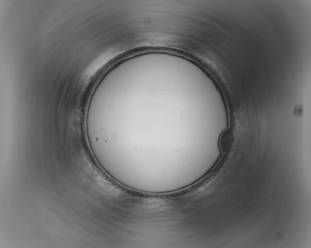 X0000113131114200909251232