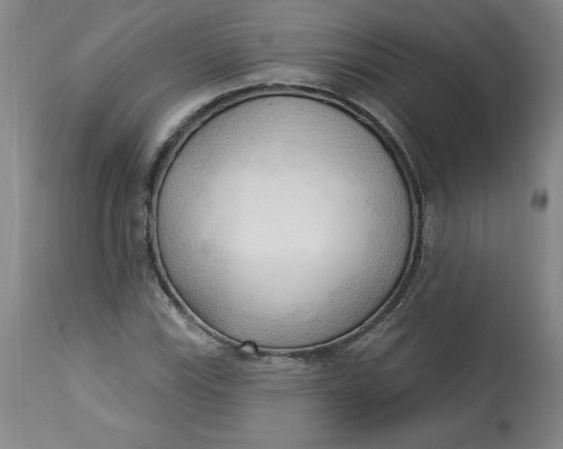 X0000113131115200909251233