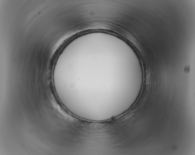 X0000113131116200909251233