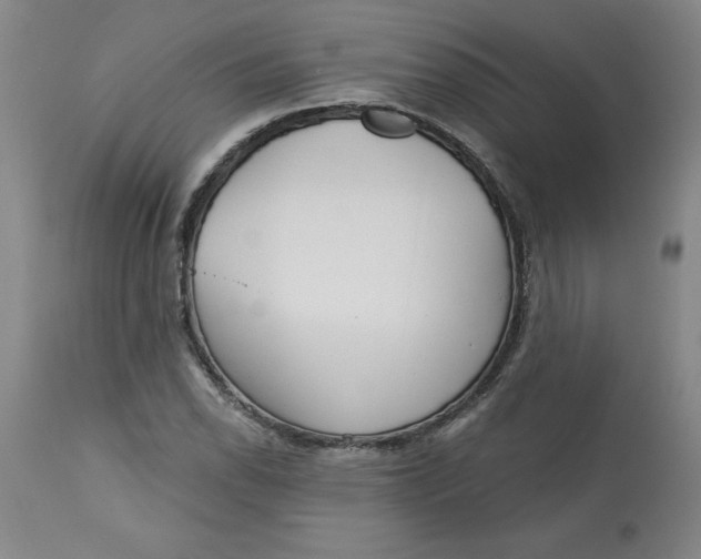 X0000113131118200909251233