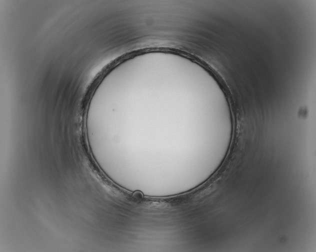 X0000113131119200909251233