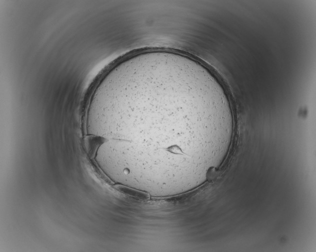 X0000113131120200909251233