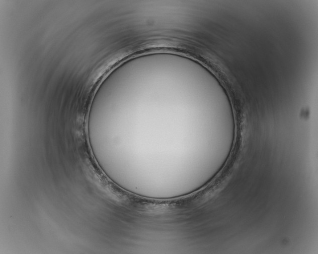 X0000113131121200909251233