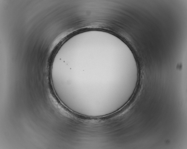 X0000113131122200909251233