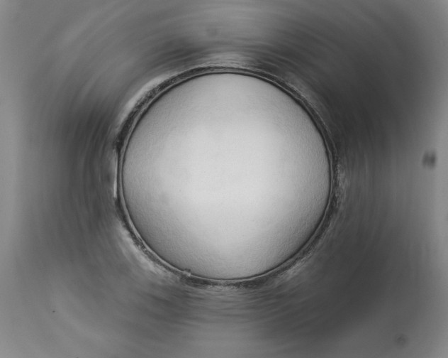 X0000113131123200909251233