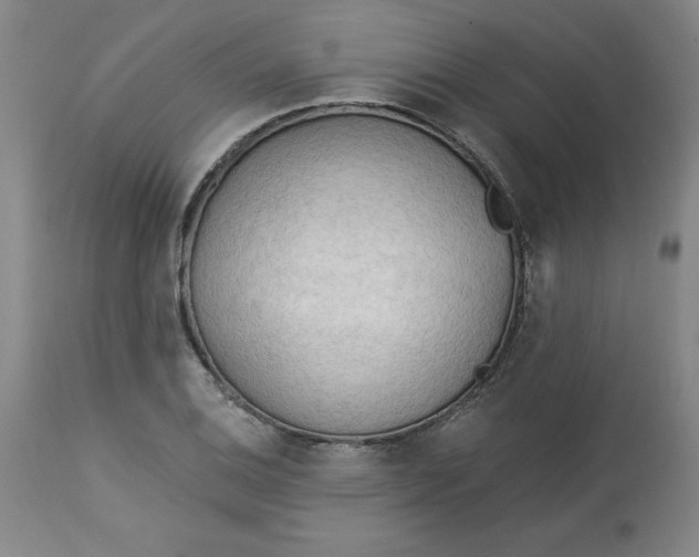 X0000113131124200909251233