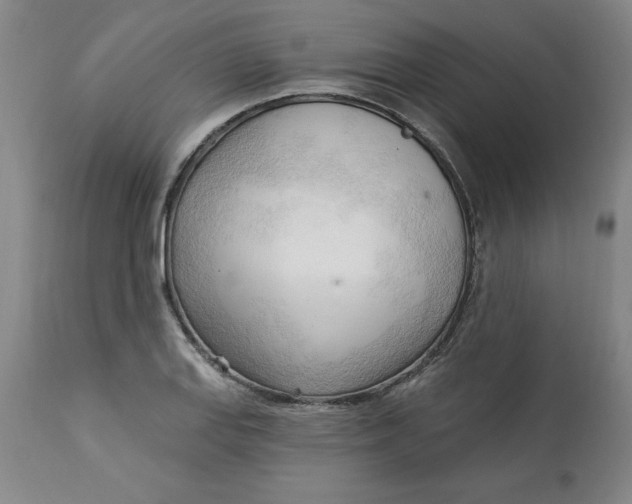 X0000113131127200909251233