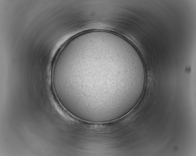 X0000113131128200909251233