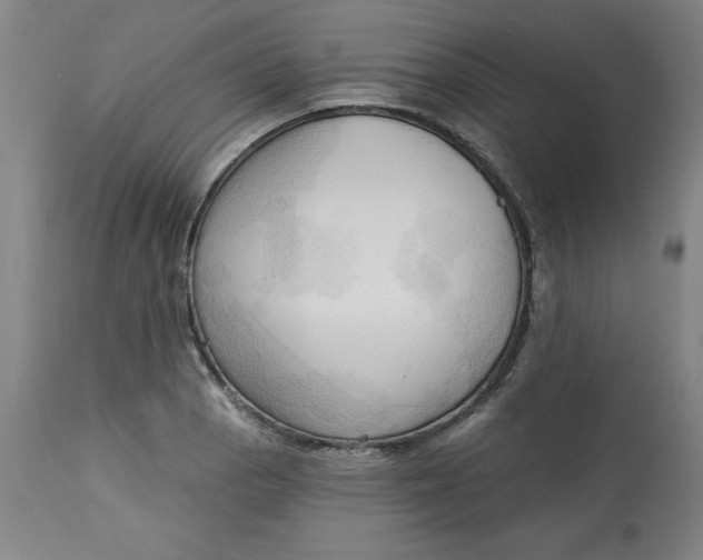 X0000113131129200909251233