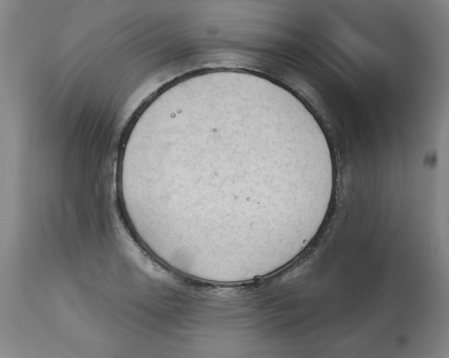 X0000113131130200909251233