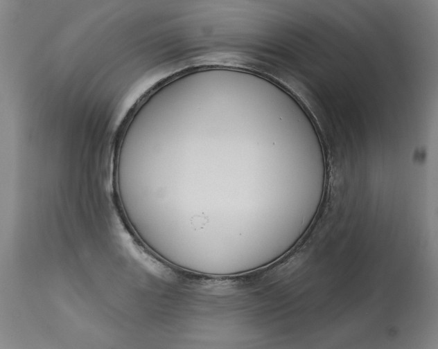 X0000113131131200909251233