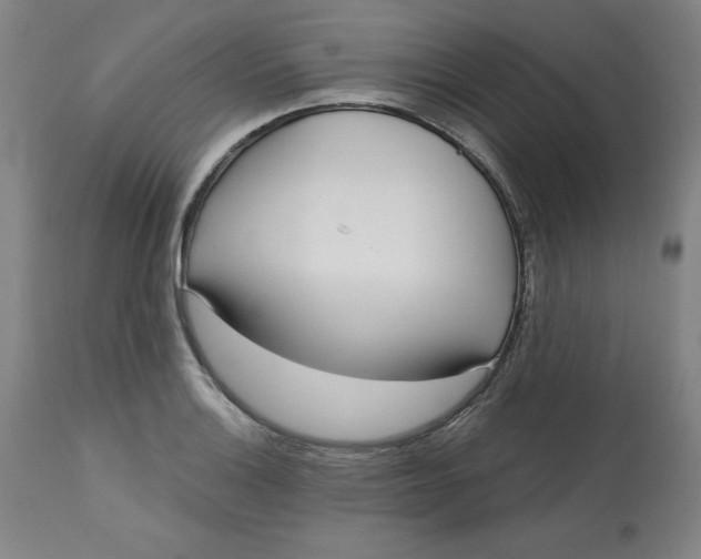 X0000113131132200909251233