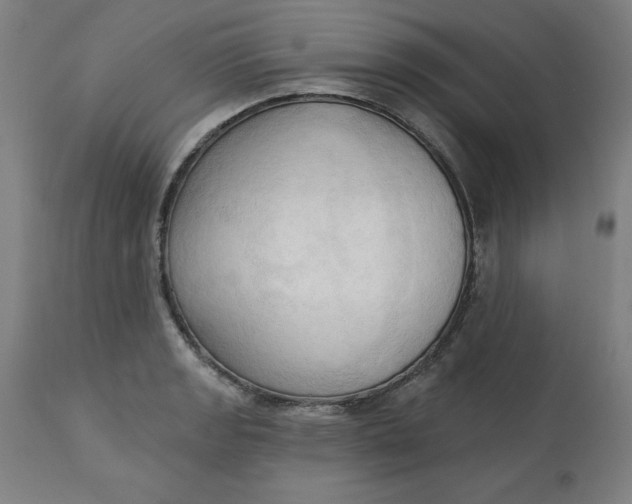 X0000113131133200909251233